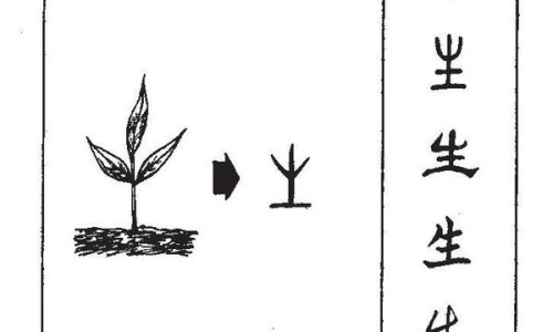 包好中药的图片大全集视频-包好中药的图片大全集网 :分享包好的一包一包的中药图片-包好的中药照片真实知识
