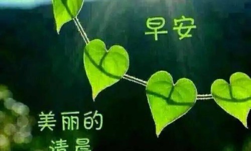 包好中药的图片大全集网 :分享包好的一包一包的中药图片-包好的中药照片真实知识
